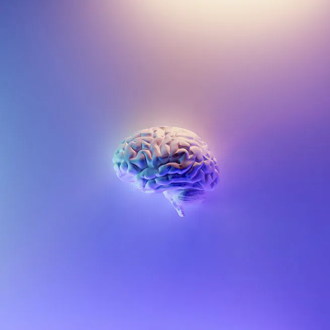 🧠 Agudiza tu pensamiento con un segundo cerebro