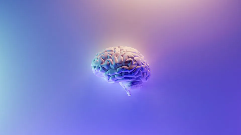 🧠 Agudiza tu pensamiento con un segundo cerebro